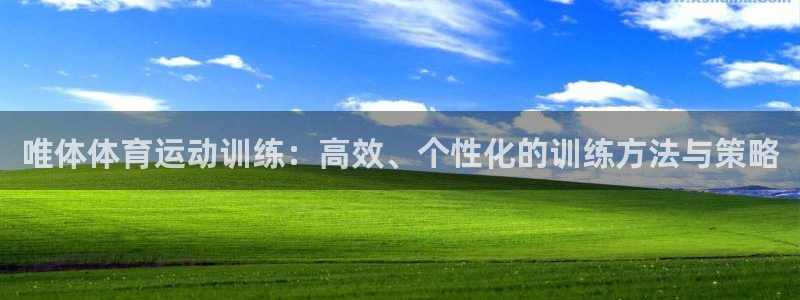 球进体育app：唯体体育运动训练：高效、个性化的训练方法与策略