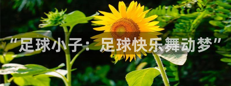 球进体育吧：“足球小子：足球快乐舞动梦”