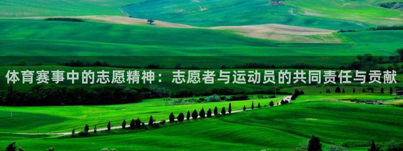 球进体育官方网站入口：体育赛事中的志愿精神：志愿者与运动员的共同责任与贡献