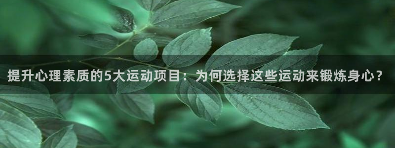 球进体育app：提升心理素质的5大运动项目：为何选择这些运动来锻炼身心？